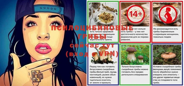 дурь Белокуриха