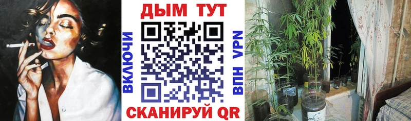 закладки  Михайлов  Каннабис Amnesia 